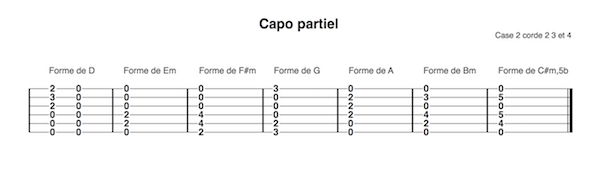 Capodastre partiel case 2 corde2 3 4 gamme